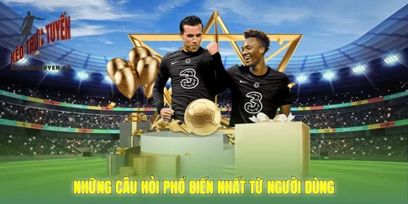 những câu hỏi phổ biến nhất từ người dùng
